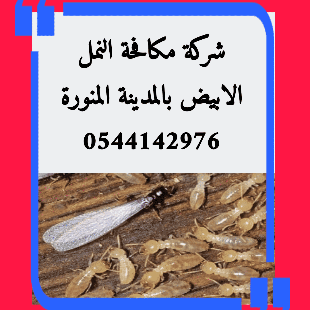 شركة مكافحة النمل الابيض بالمدينة 2021